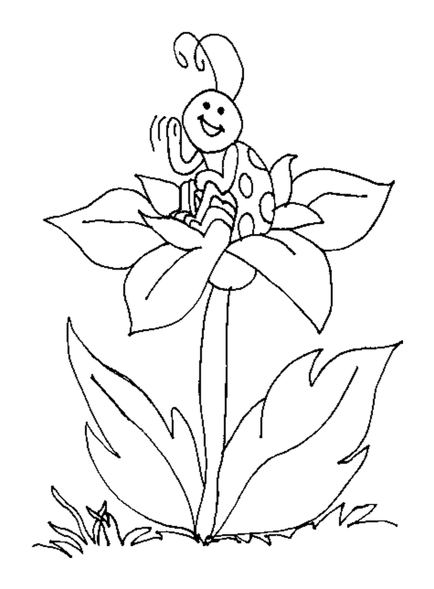 Coccinella seduta su un fiore 