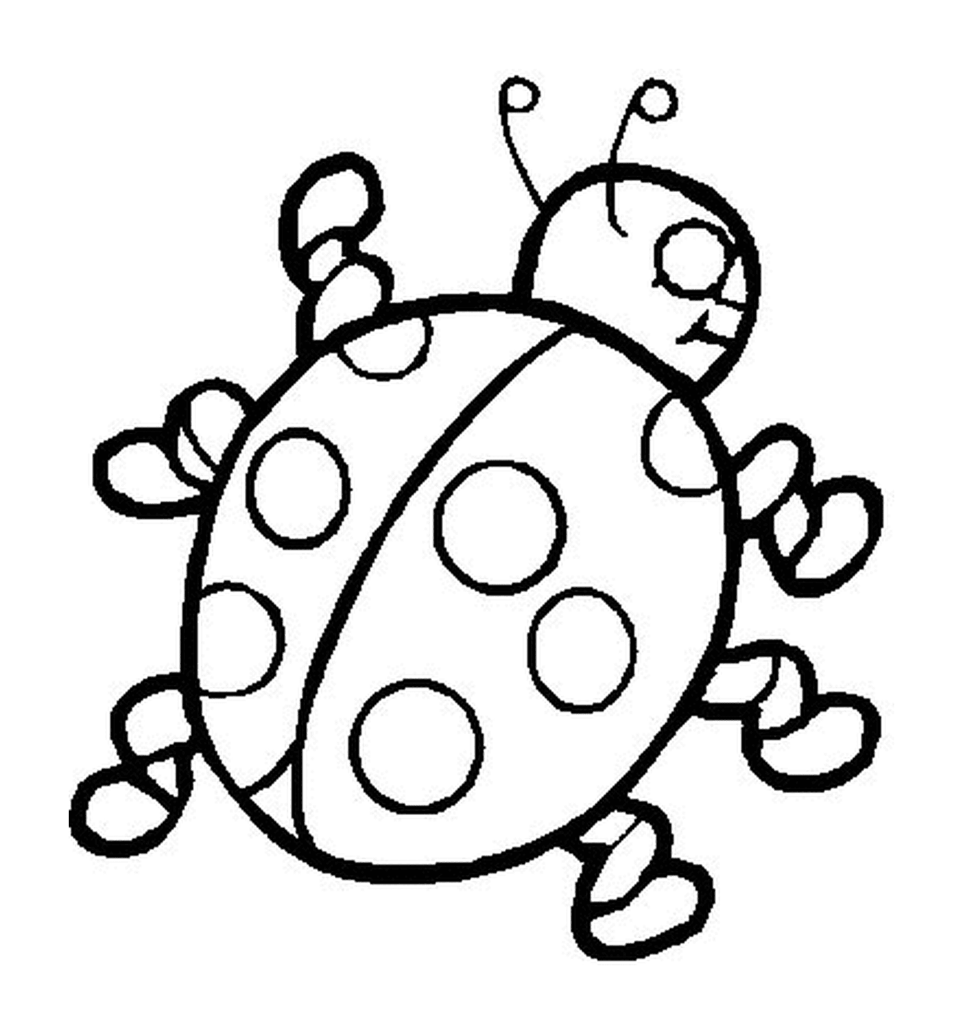 Ladybug with six legs 