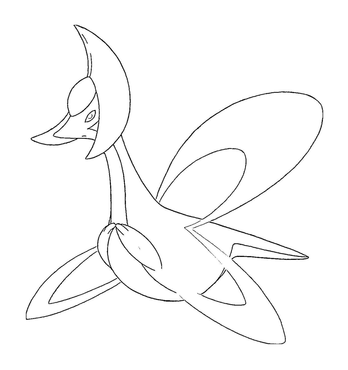  Crasselia bird with long tail 