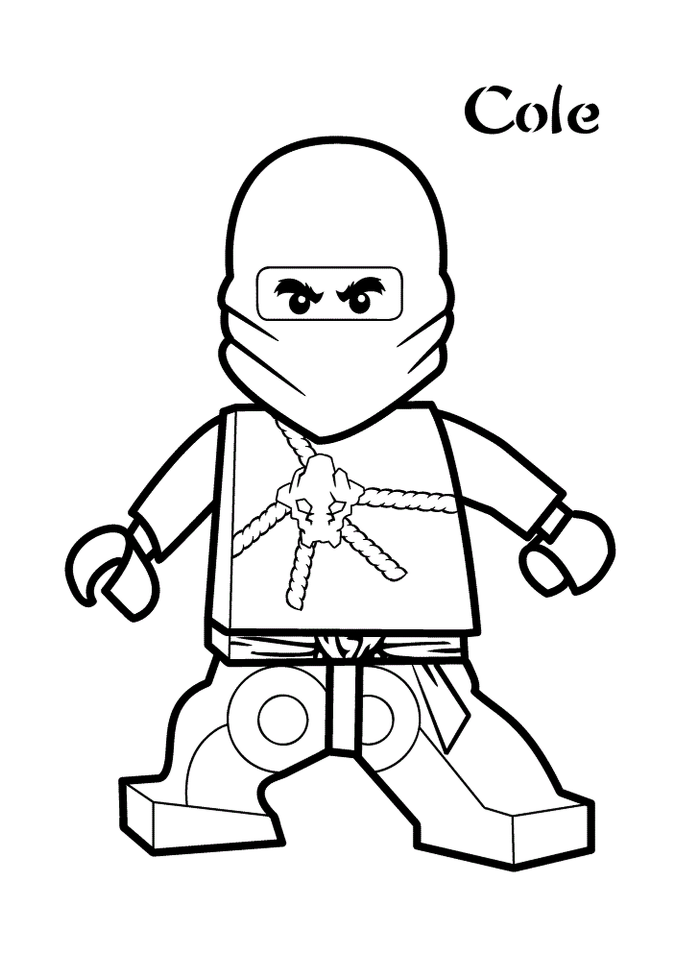  Charakter Lego Ninjago dynamisch 