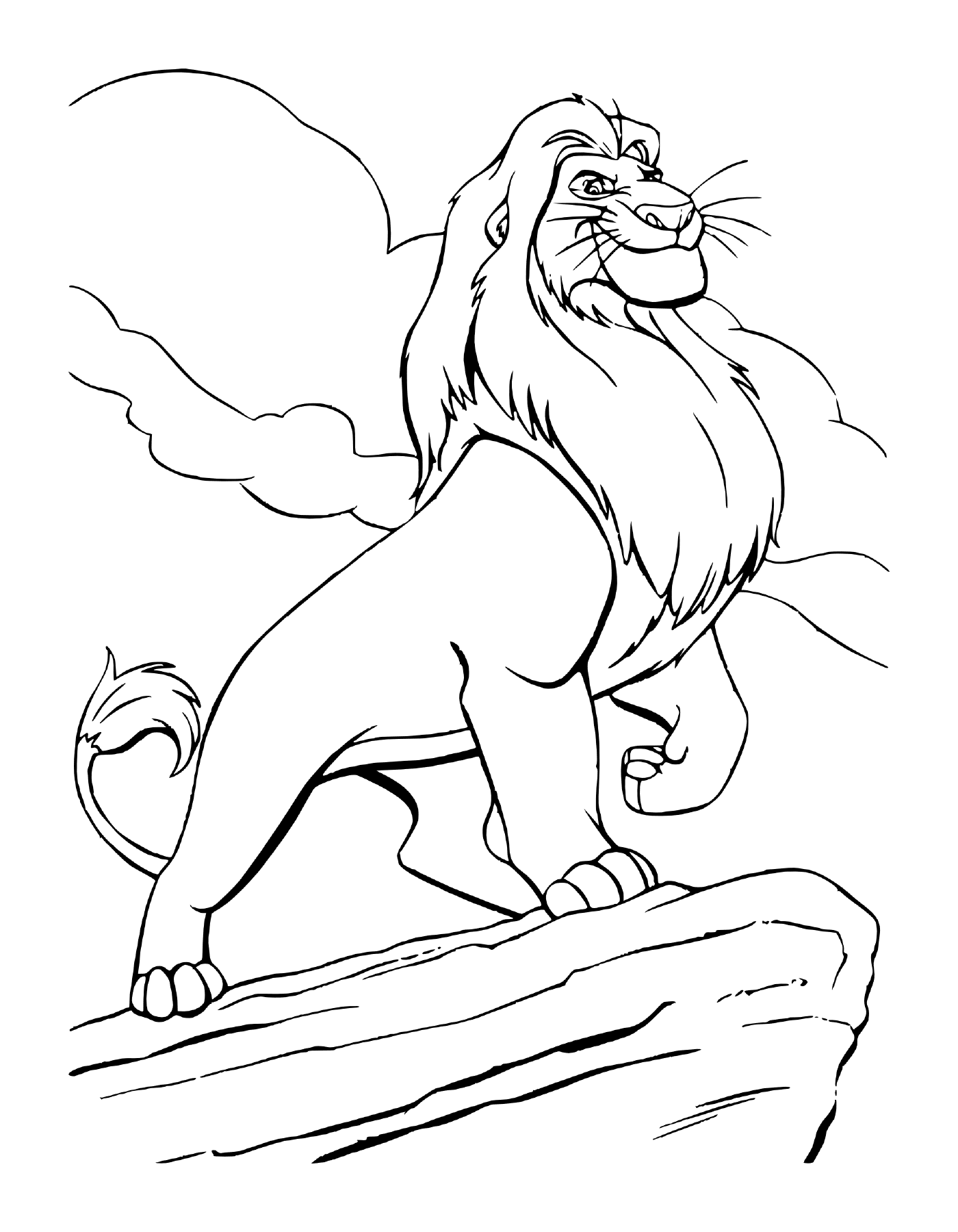  Mufasa from the movie The Lion King 