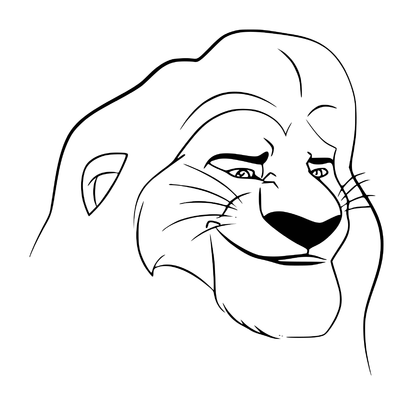  Face of Mufasa, character of the Lion King 