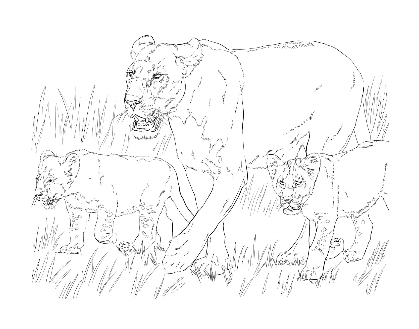  lioness with her lions 