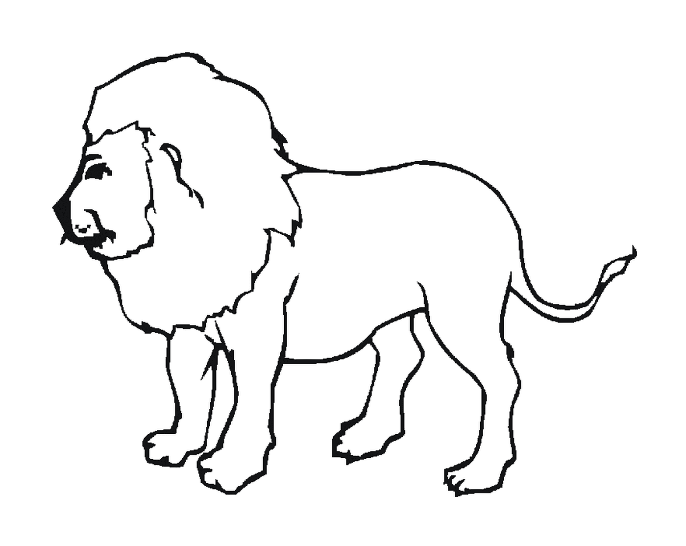  Löwe von Barbary, majestätisch 