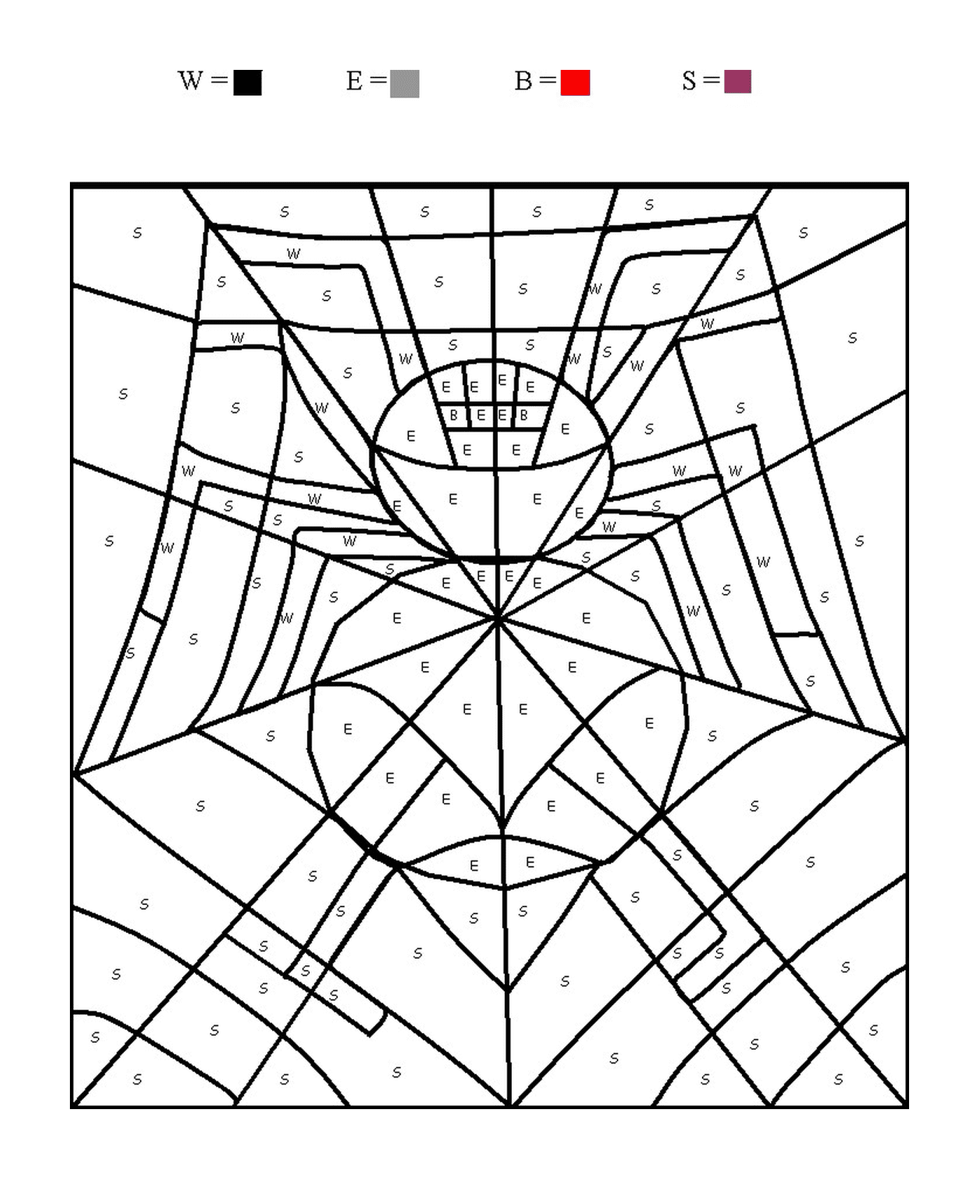  Das Netz einer Spinne 