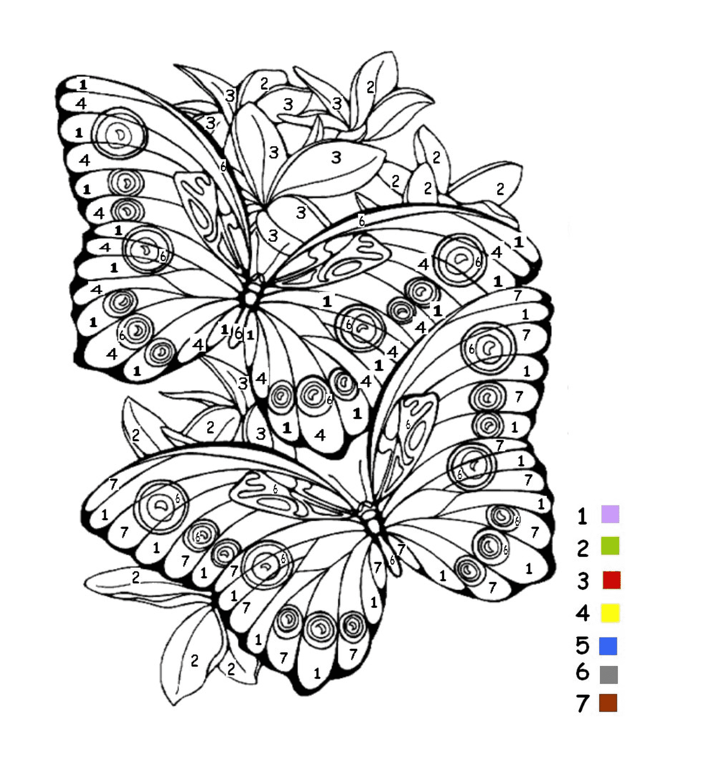  Un adulto con farfalle e numeri 