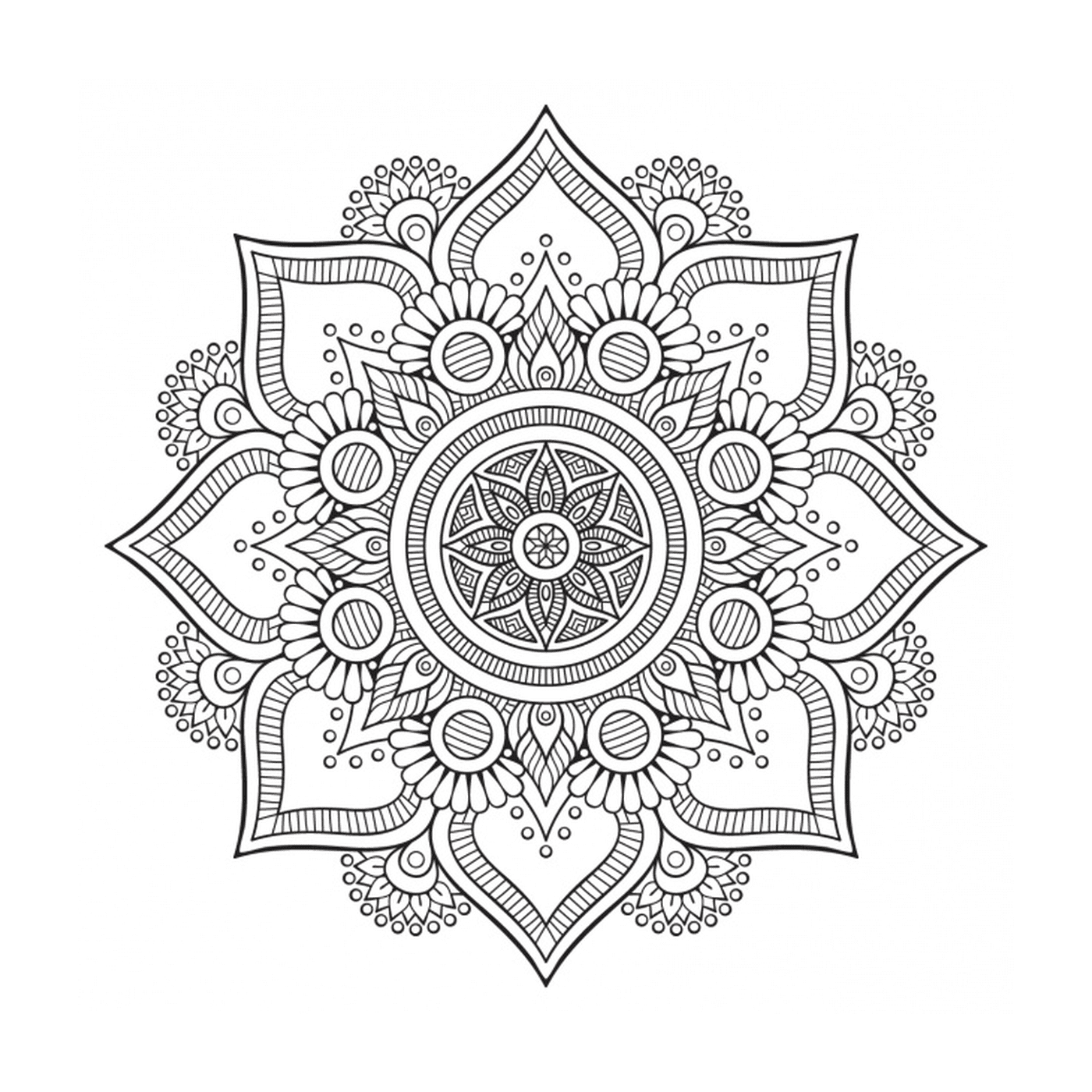  Floral Mandala Hintergrund 