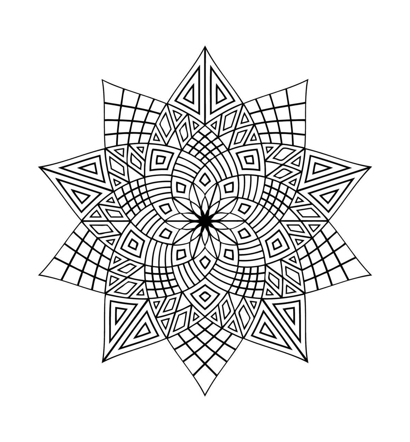  Mandala geométrico delicado 