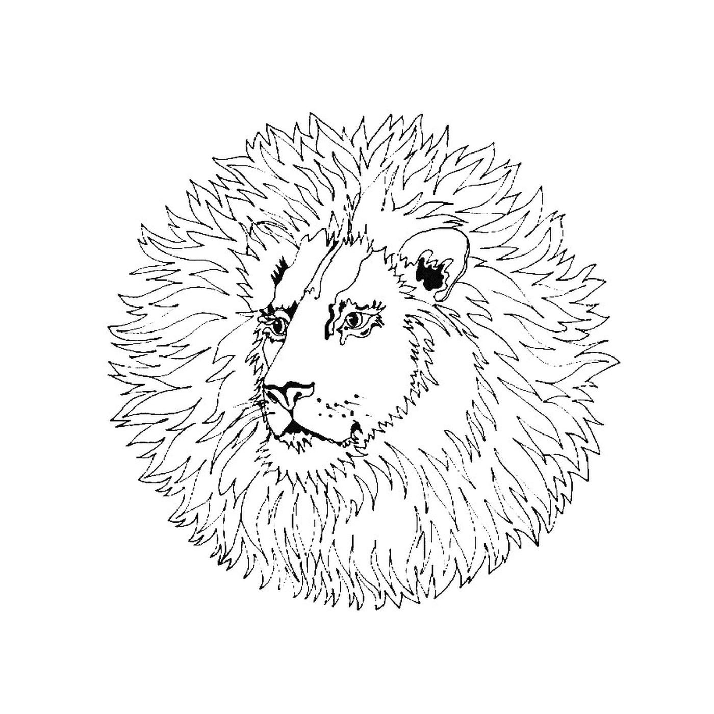  Majestuoso León Mandala 