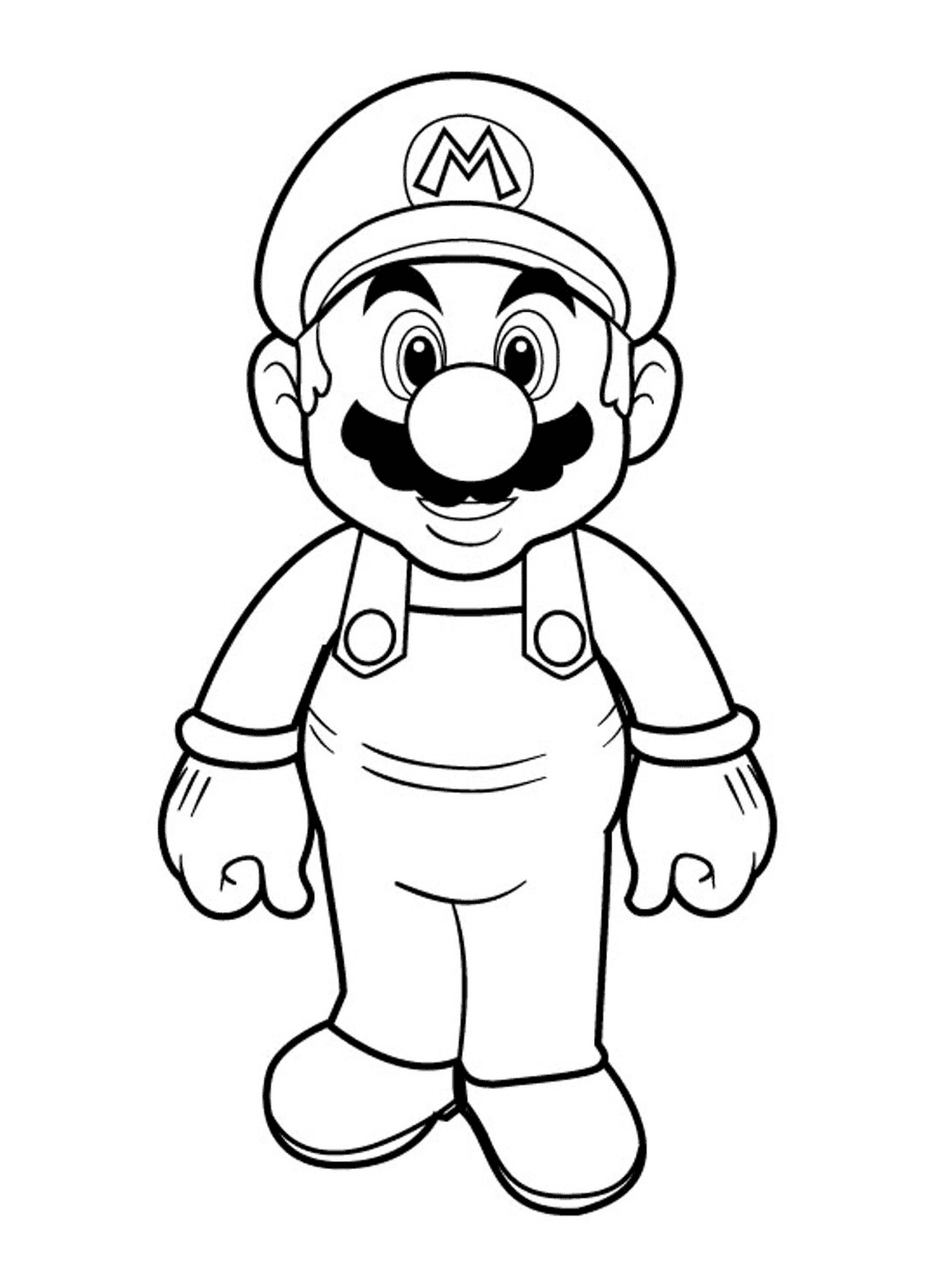 Super Mario Bros HD, персонаж мультфильма 