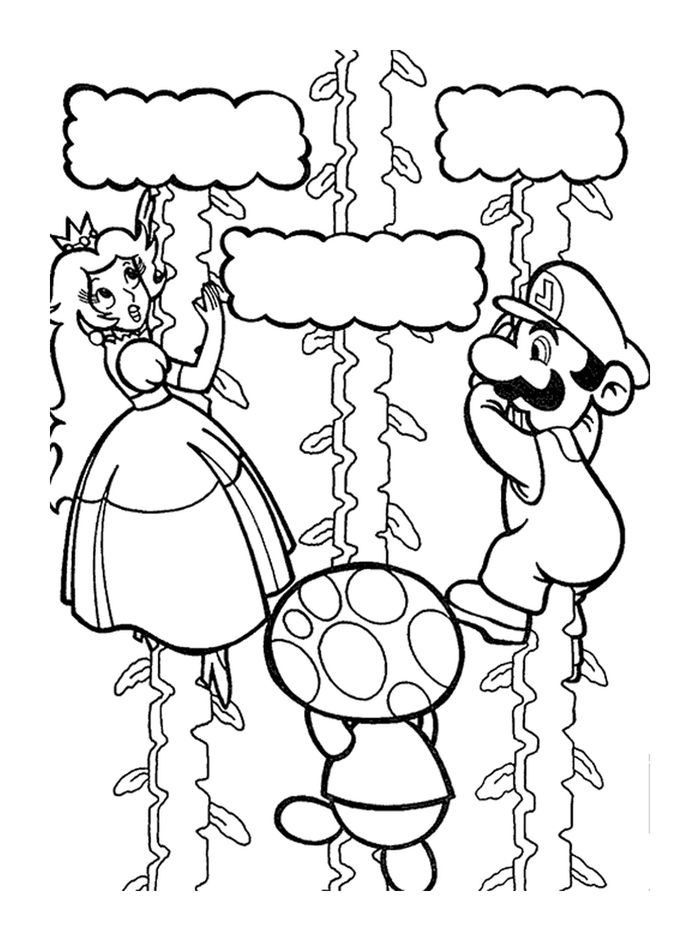  Mario, Peach e Rospo si arrampicano verso il cielo 