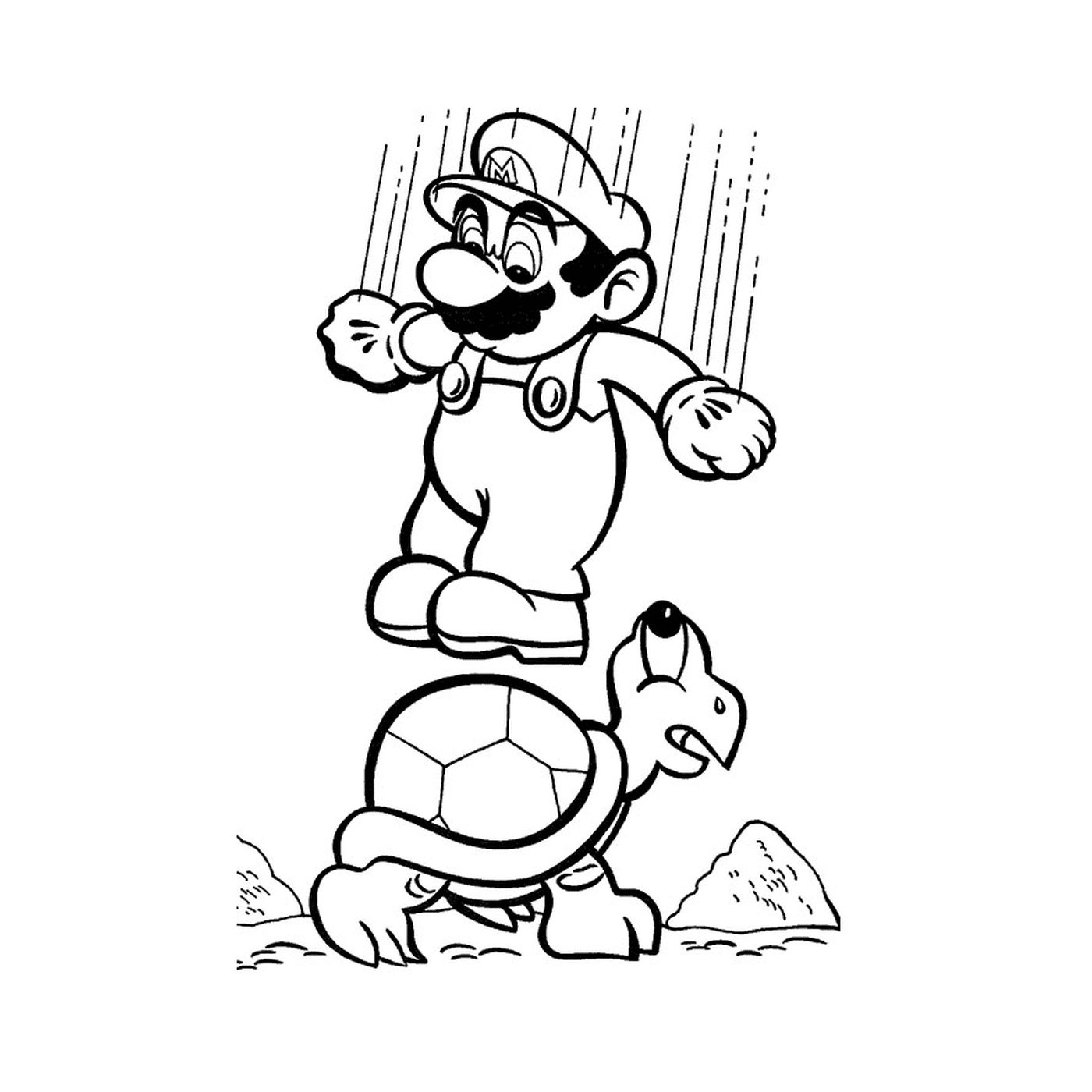  Mario and a turtle 