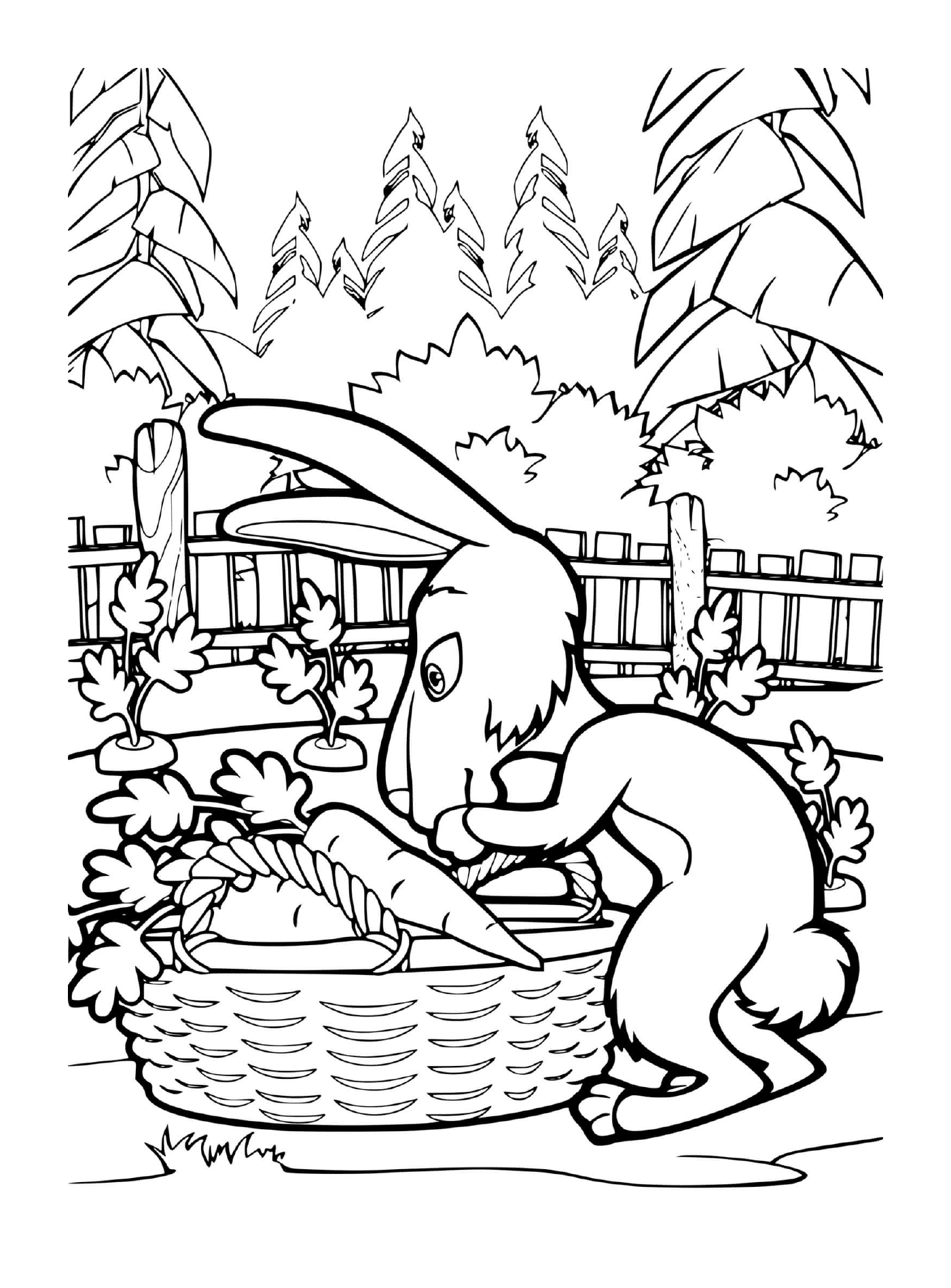  The hare flies carrots 