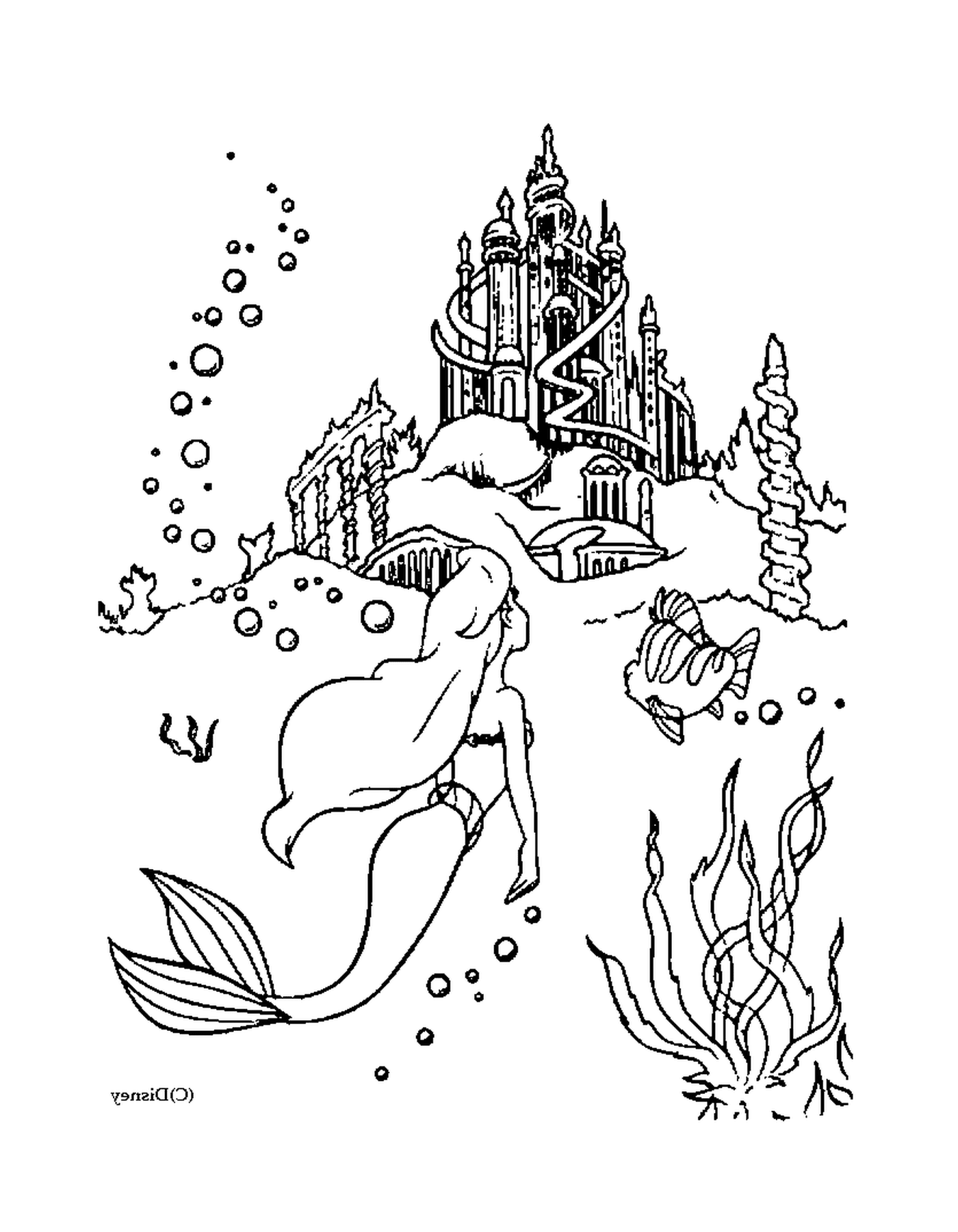  Sirene and castle 