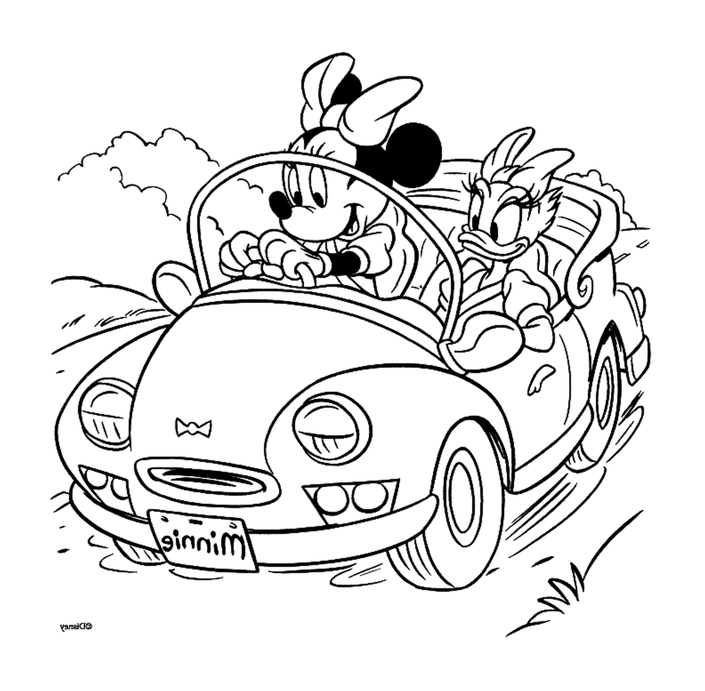  Daisy und Minnie mit dem Auto 