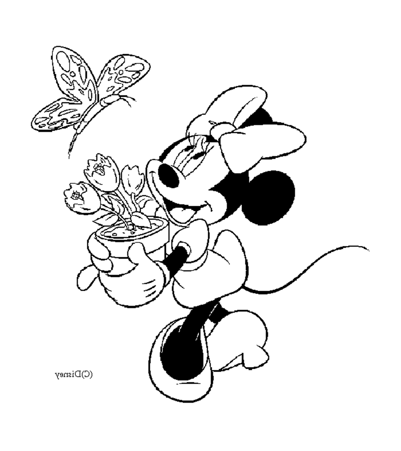  Minnie trägt einen Blumentopf 
