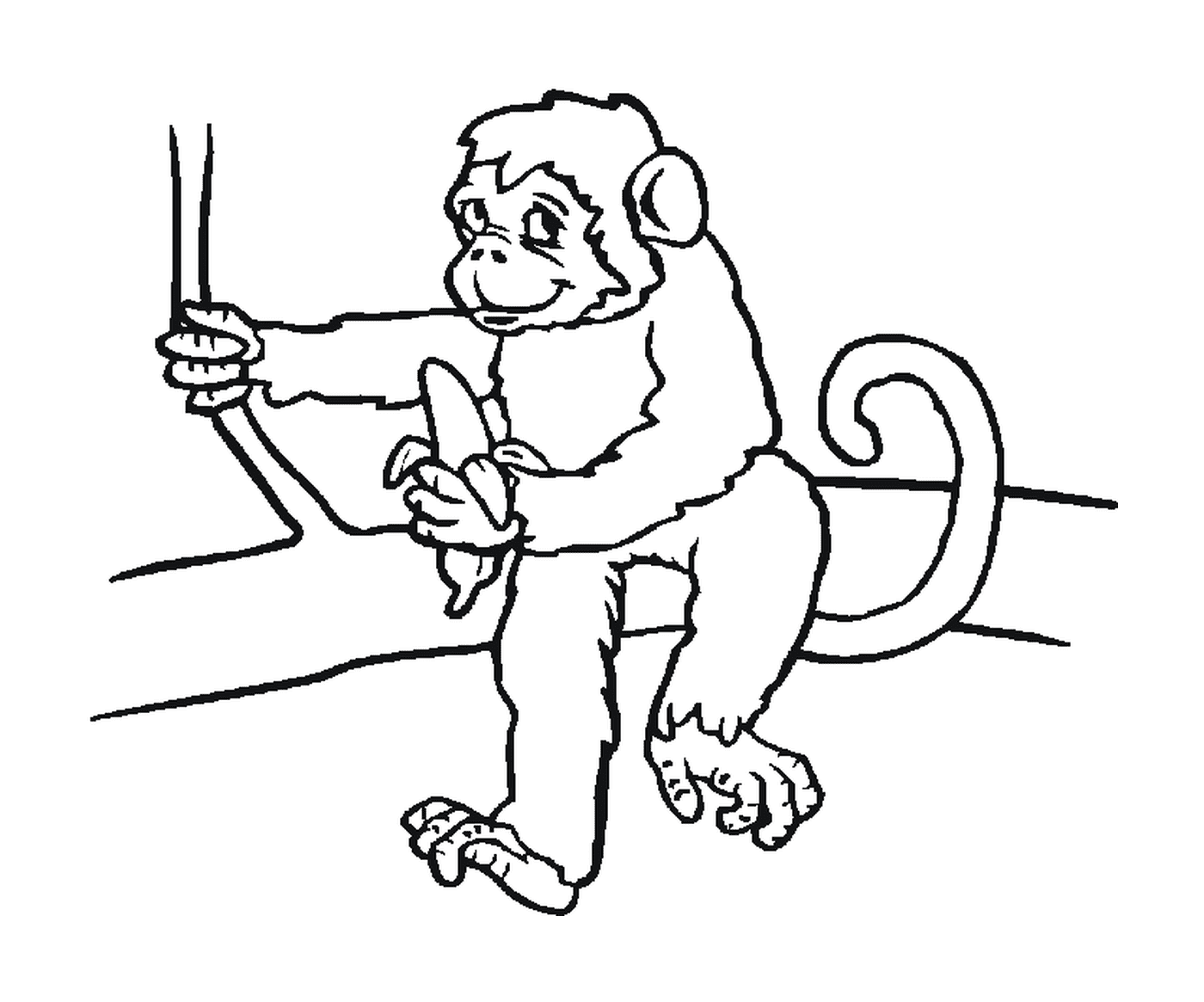  Affen sitzen mit einer Banane 