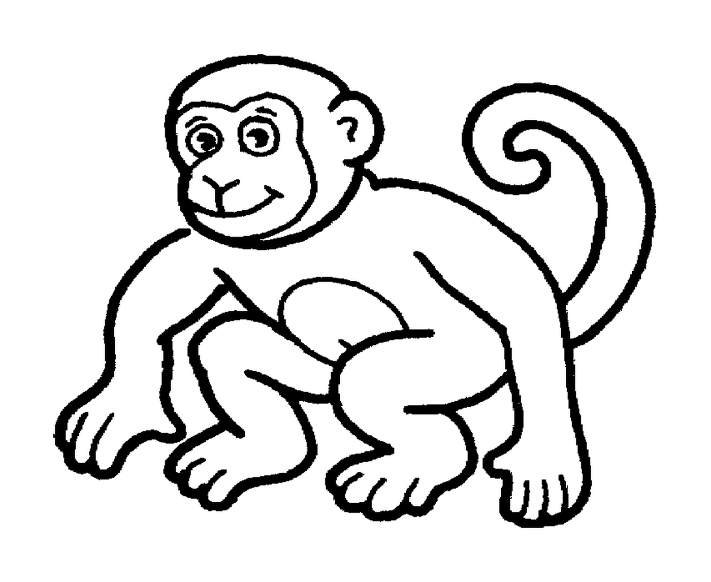  Jugador ágil mono 