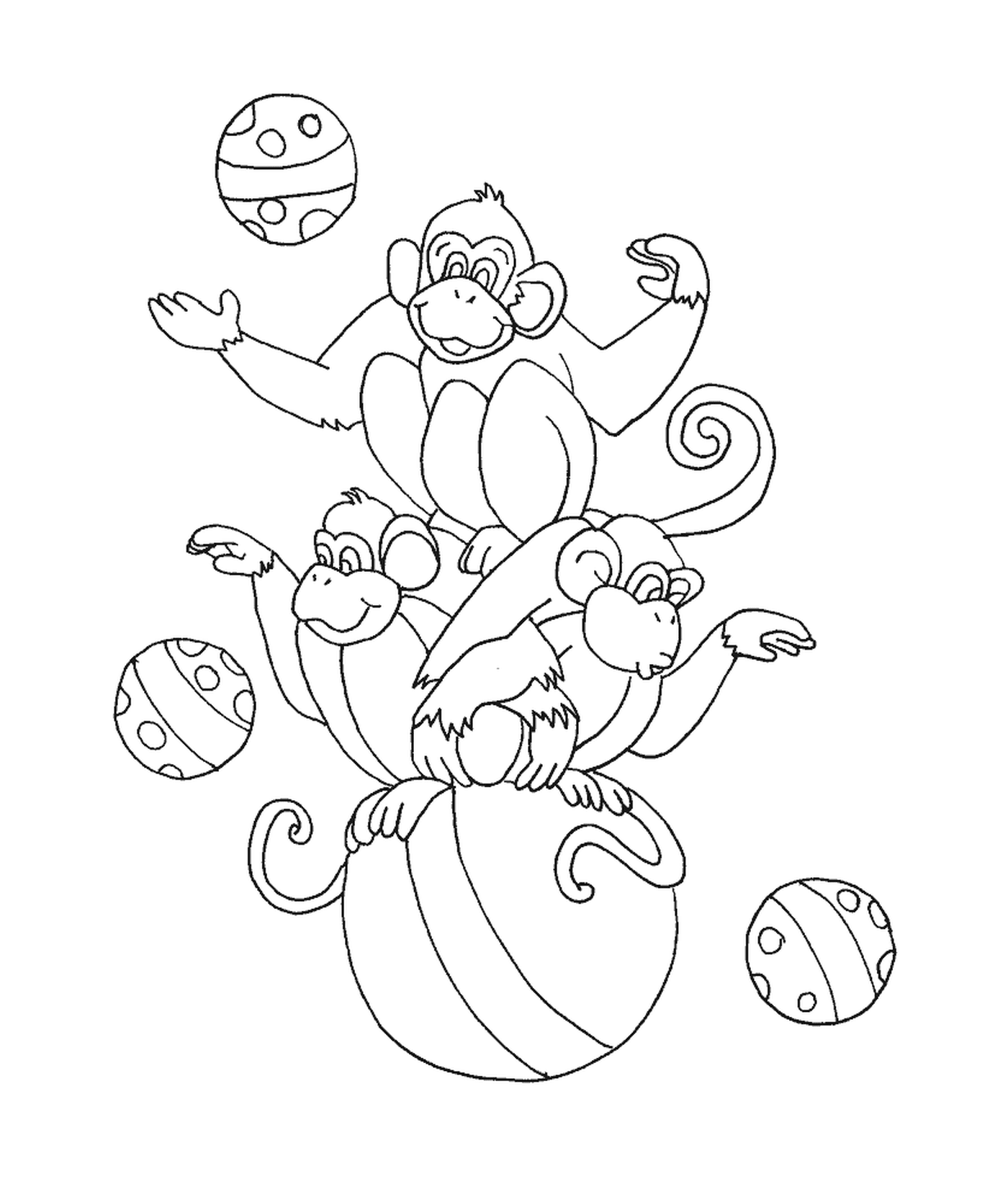  Monos en globos 