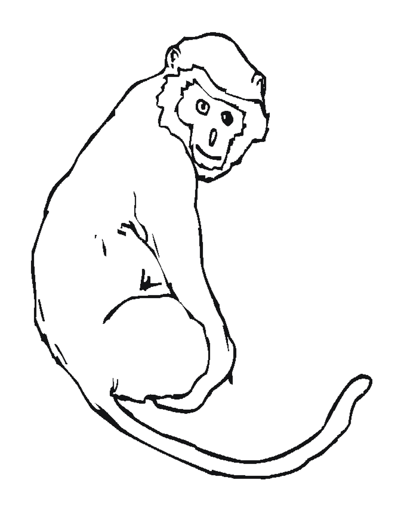  Mono con cola larga 