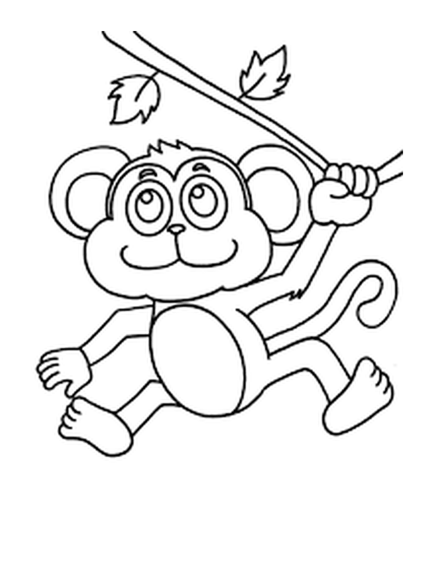  Little monkey swinging 