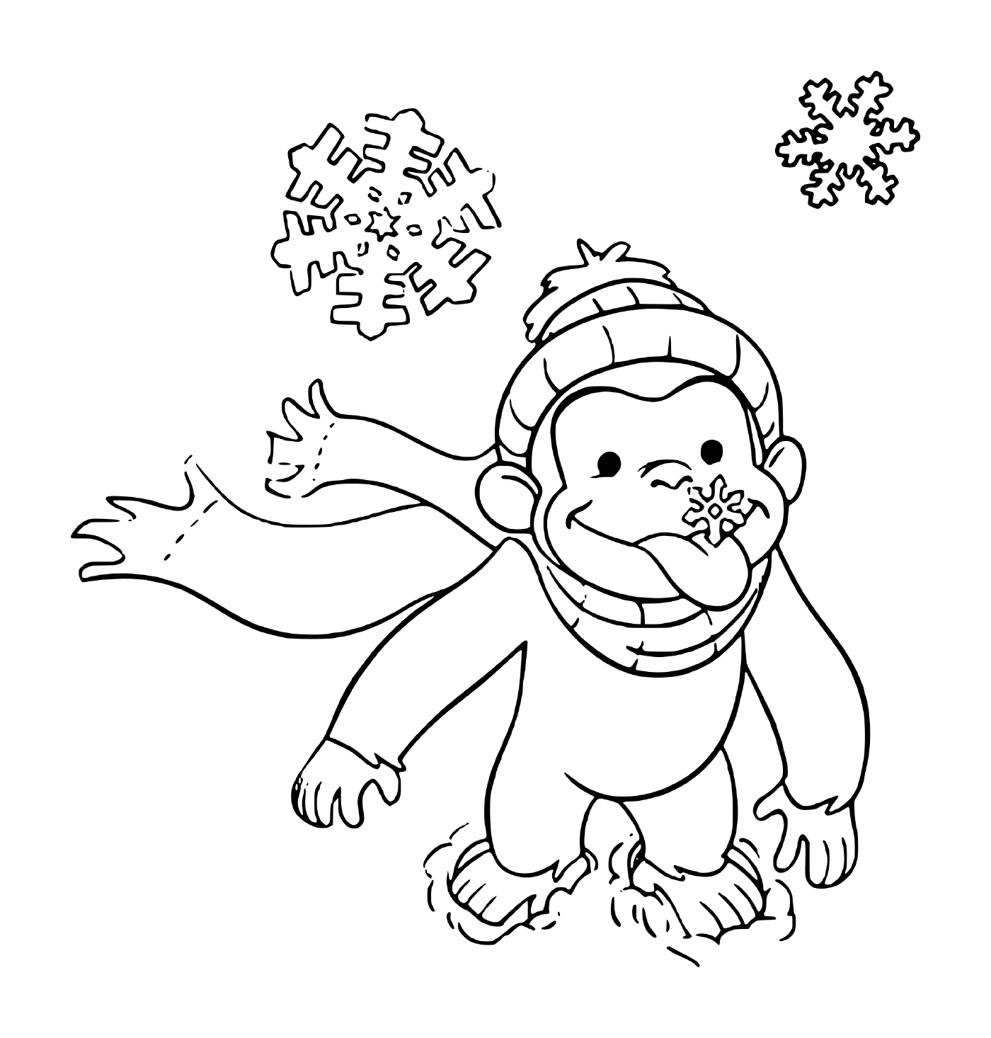  Scimmia con un cappello nella neve 