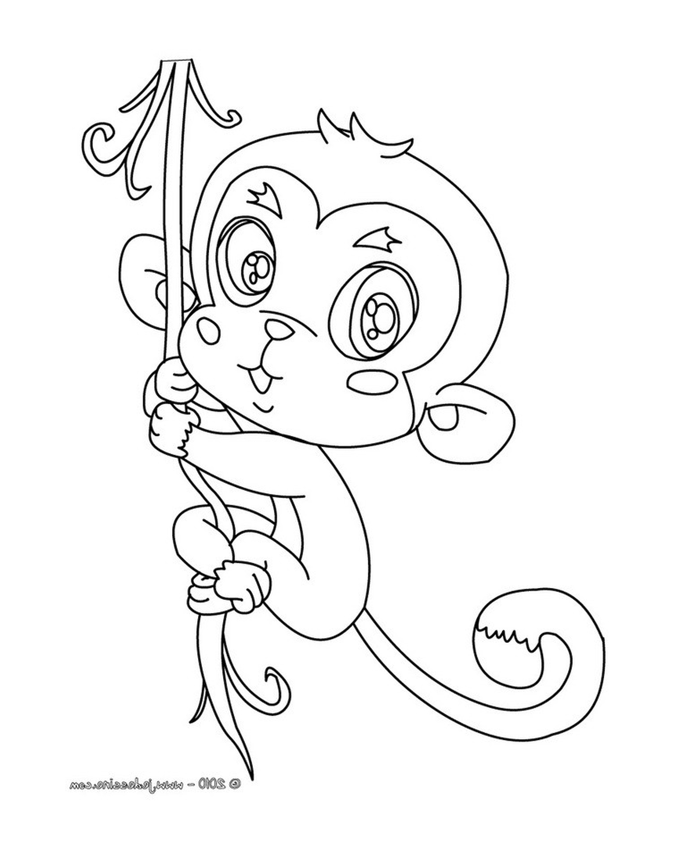  Маленькая милая обезьянка с полюсом 