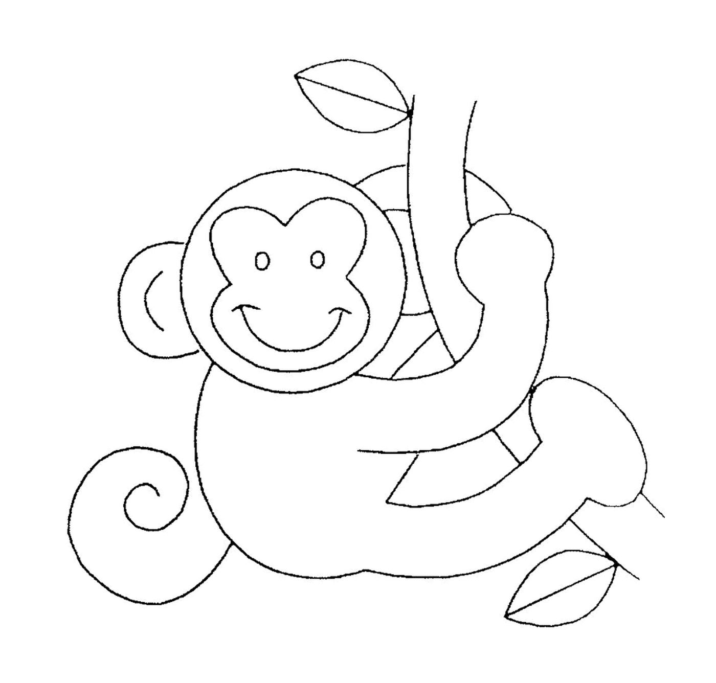  Monkey schwingt auf einer Liana 