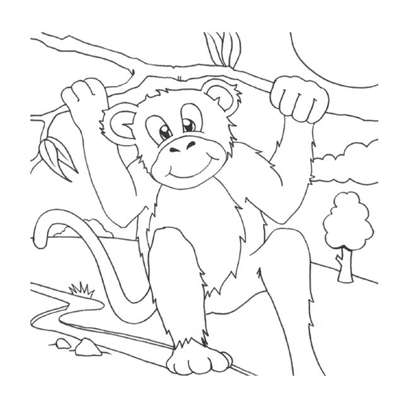  Mono en el bosque 