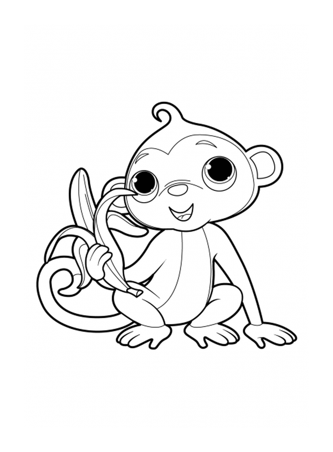  Scimmia con una deliziosa banana 