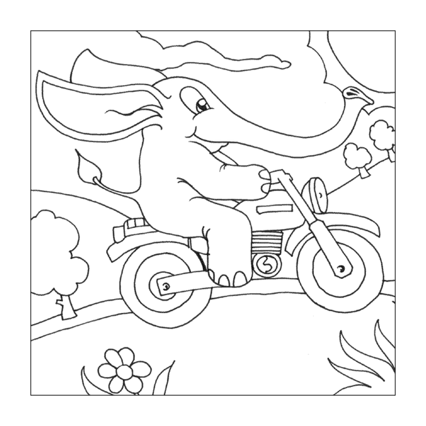  Слон на мотоцикле в поле 