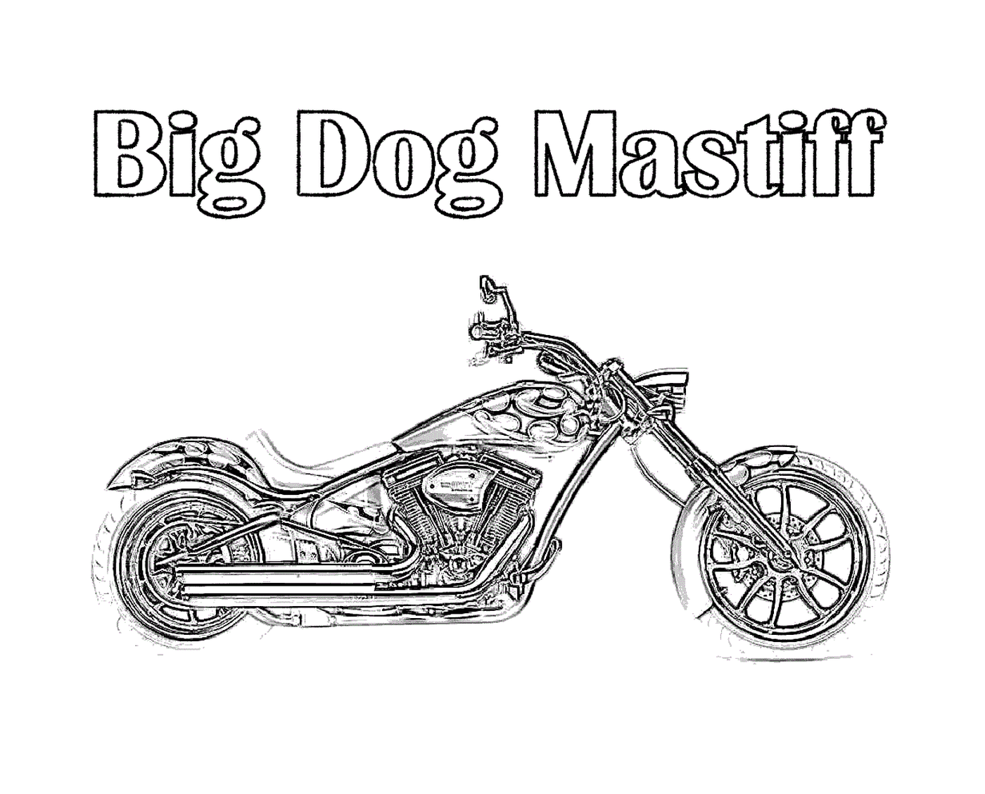 Großer Hund auf dem Motorrad 