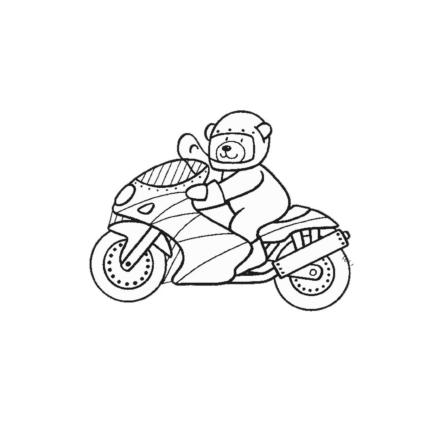  motocicletta a guida di orso 