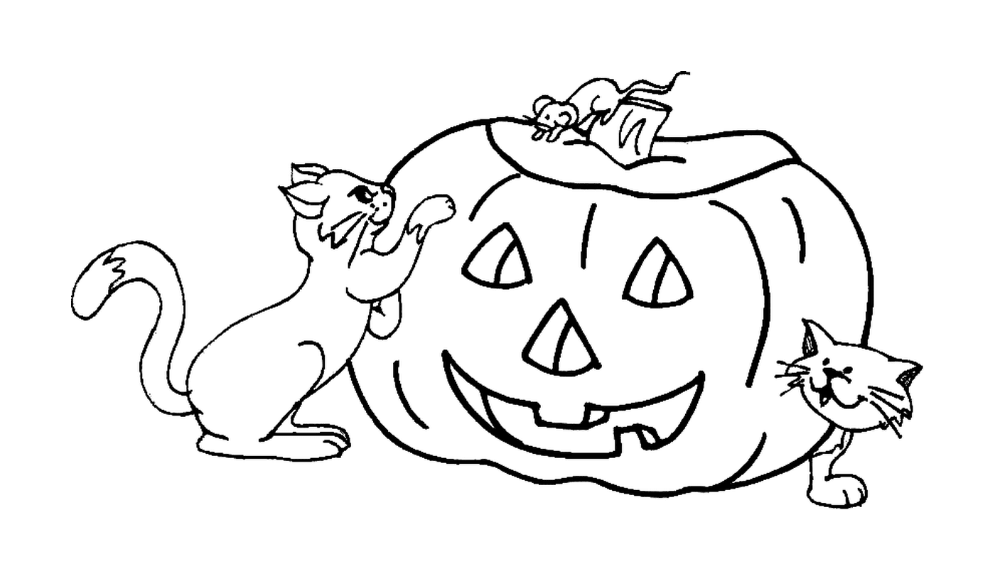  One mouse, one pumpkin and two cats 