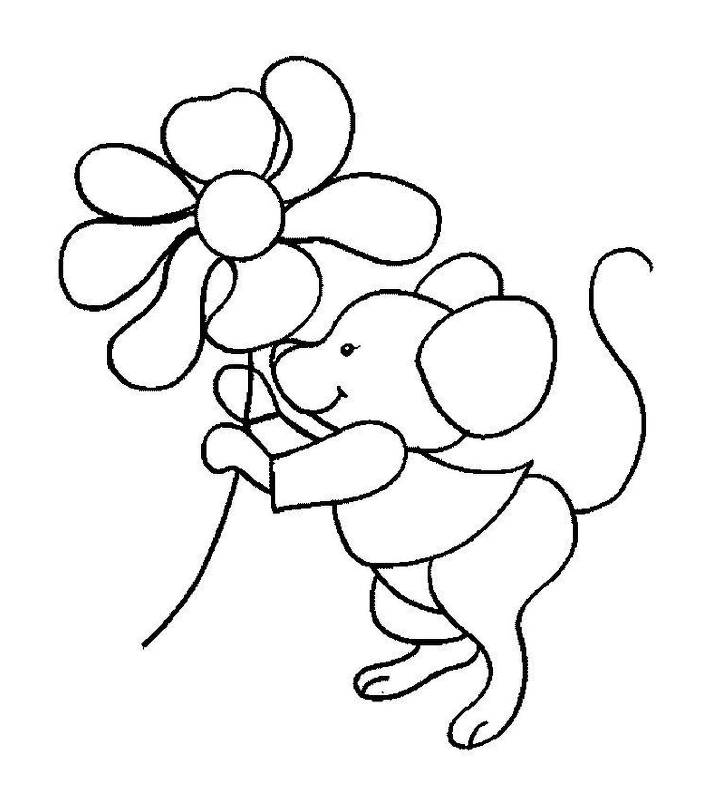  A mouse holding a flower 