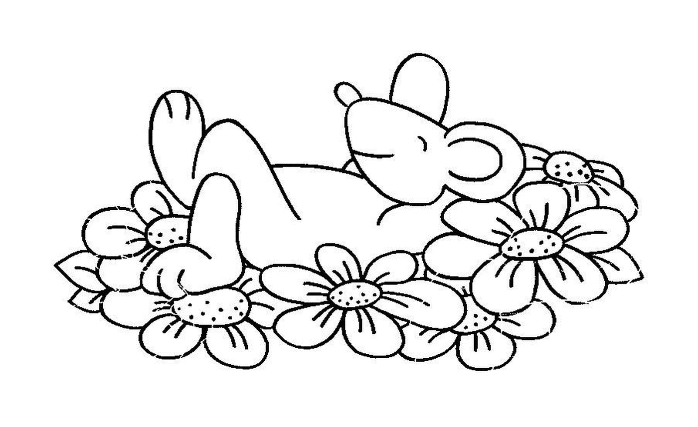  A mouse lying on flowers 