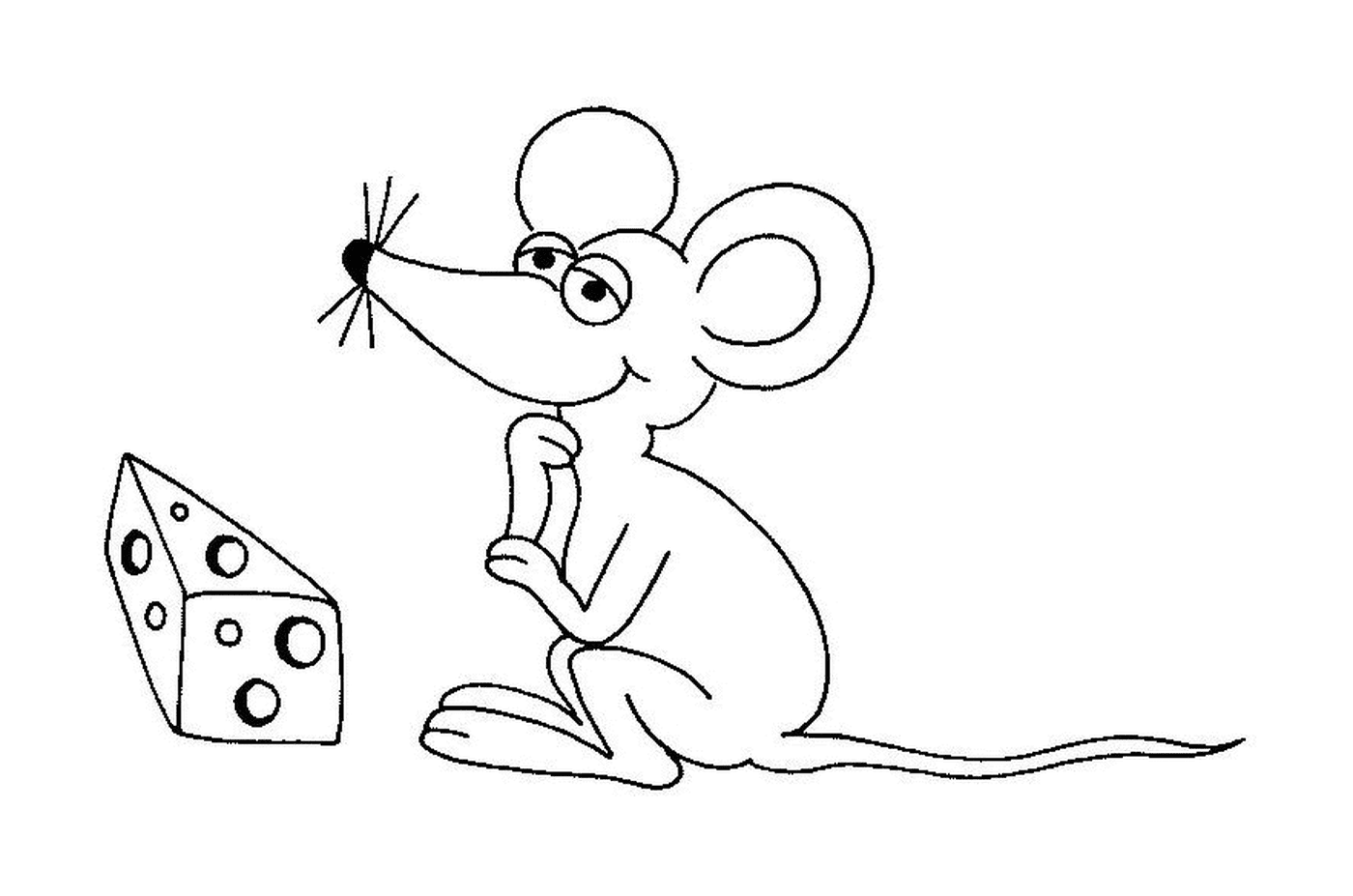  A mouse in front of cheese 