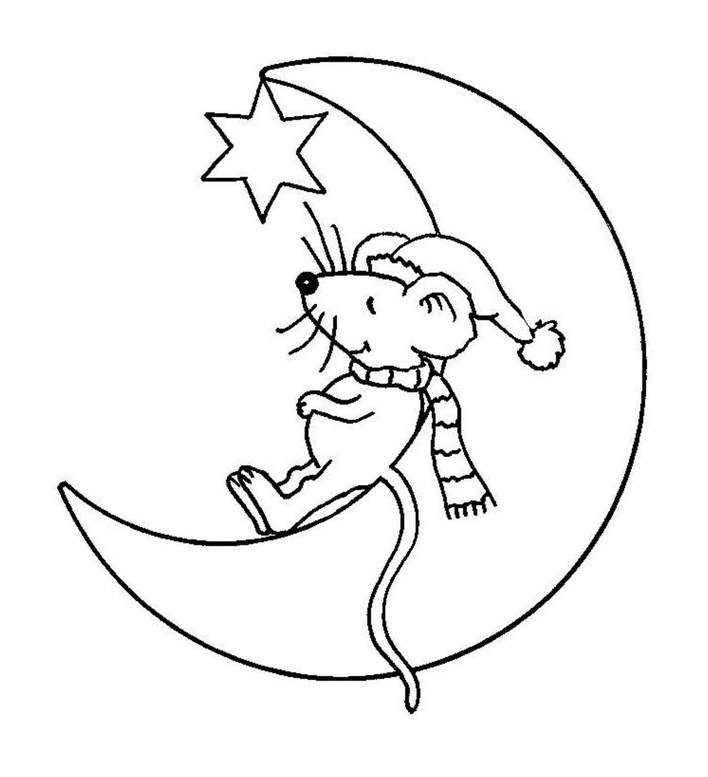  A mouse in the moon 