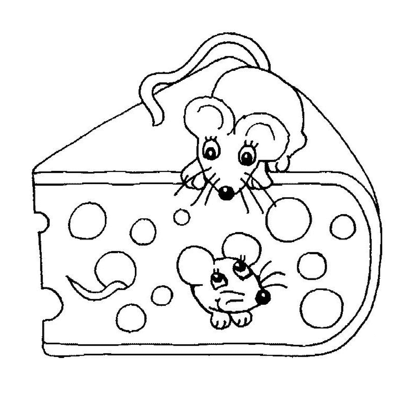  Two mice in cheese 
