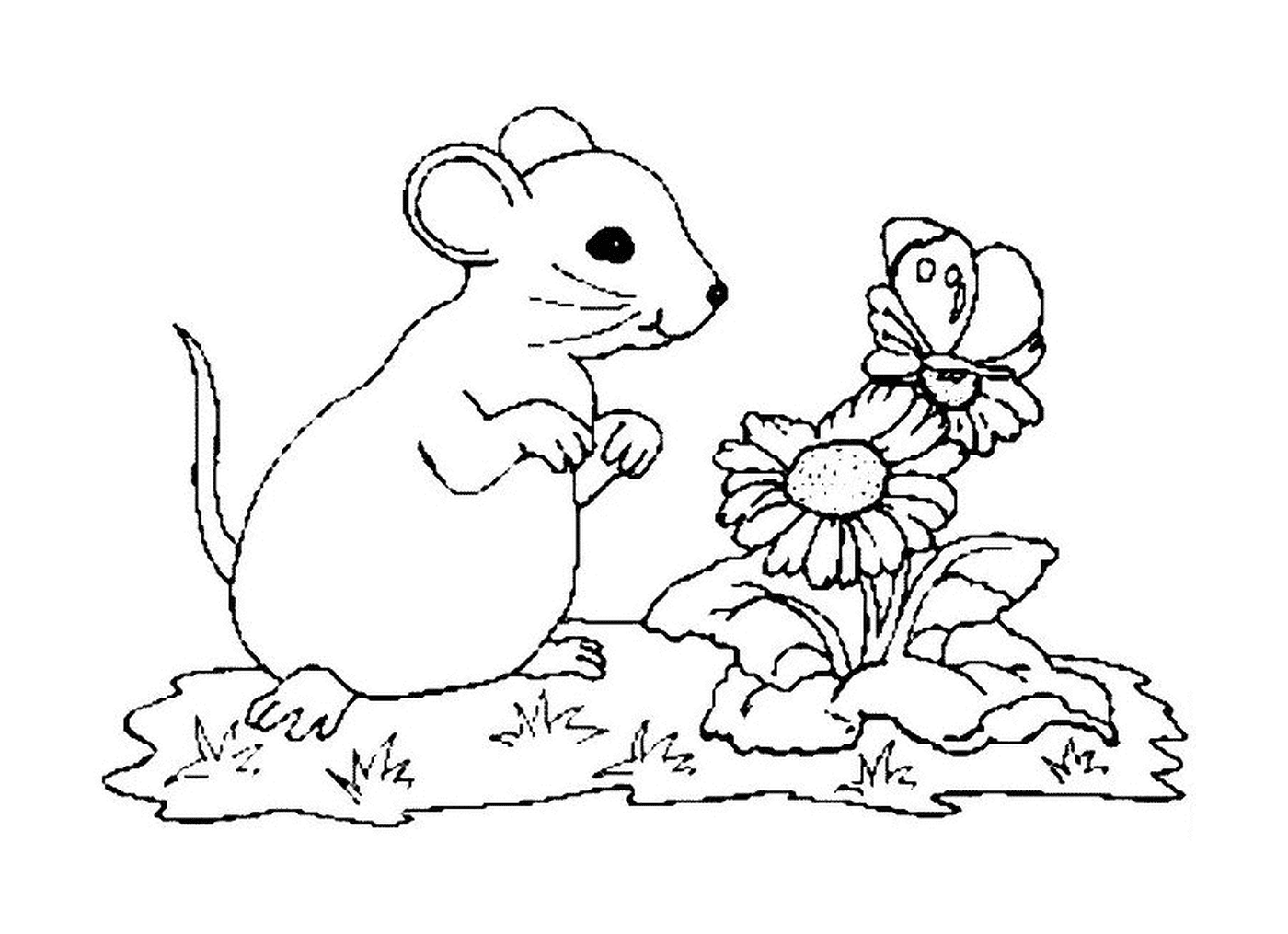  Flowers and a mouse 