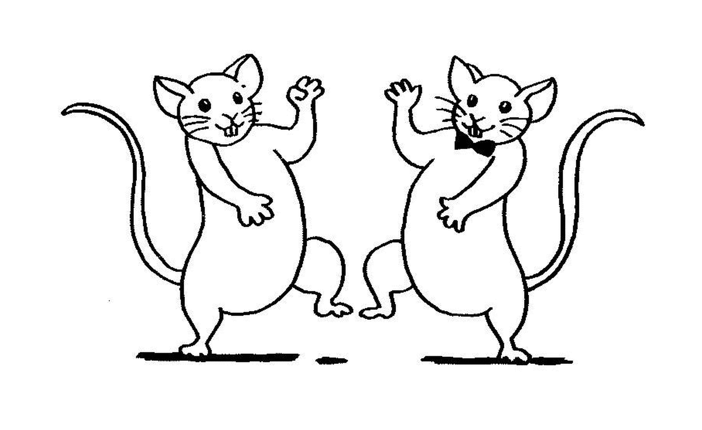  Two mice dancing 