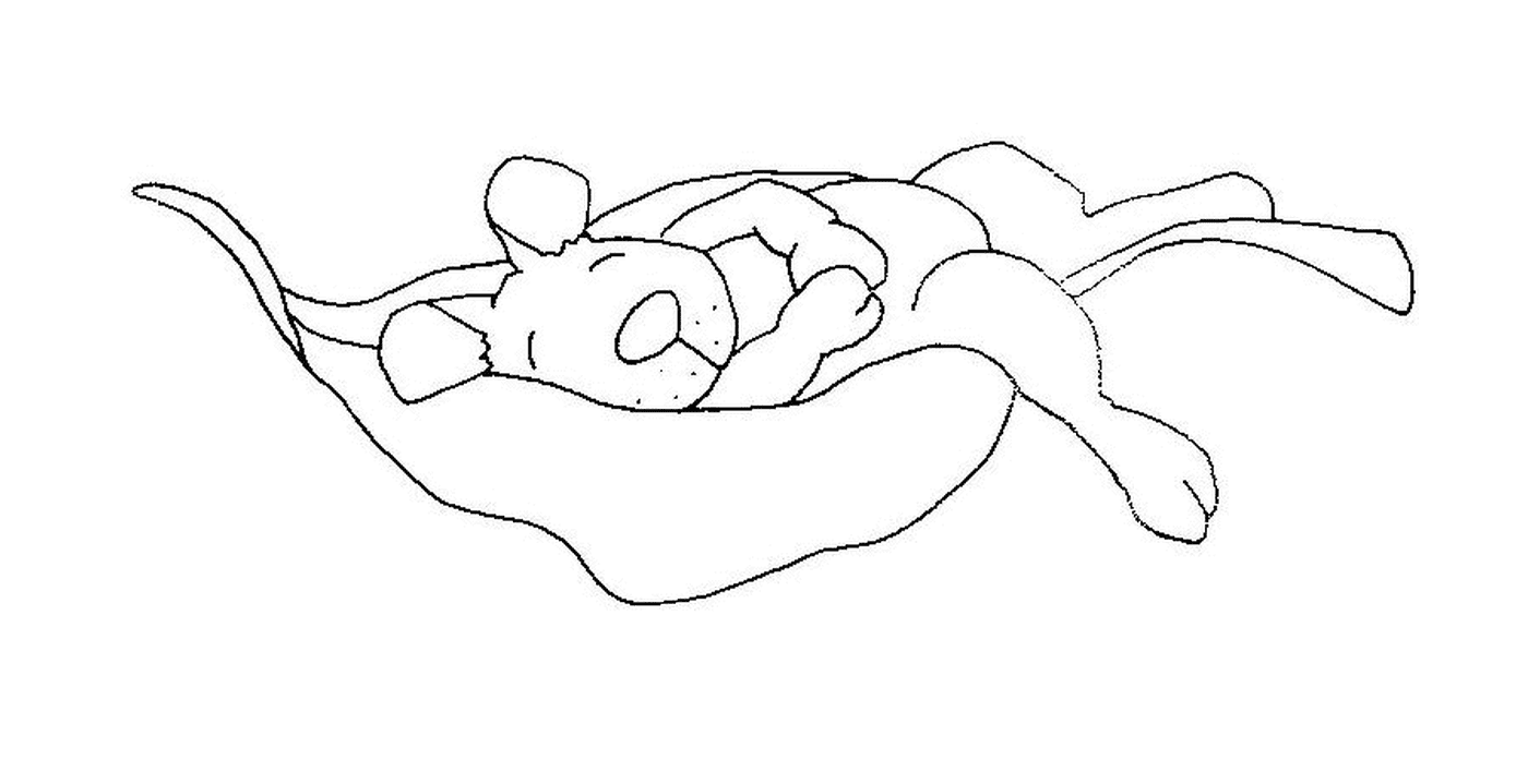  Un topo che dorme su una foglia morta 