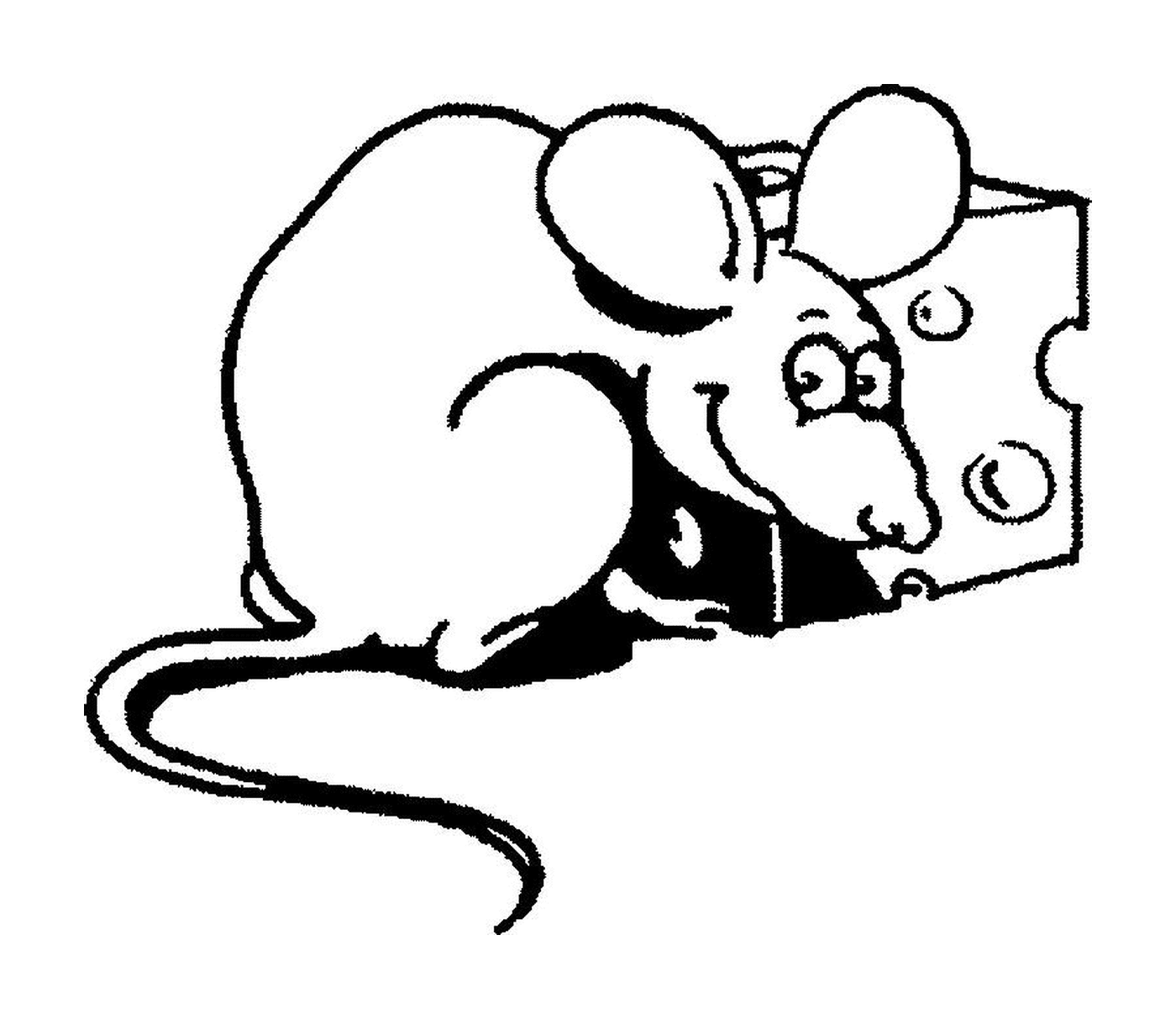  A mouse with cheese 