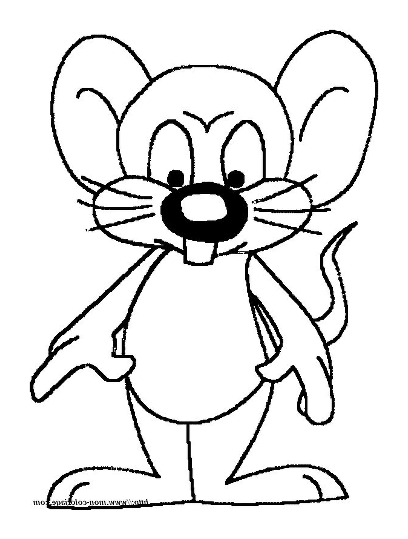  Una cara de ratón 
