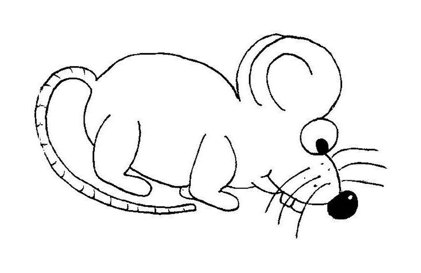  A mouse eating 