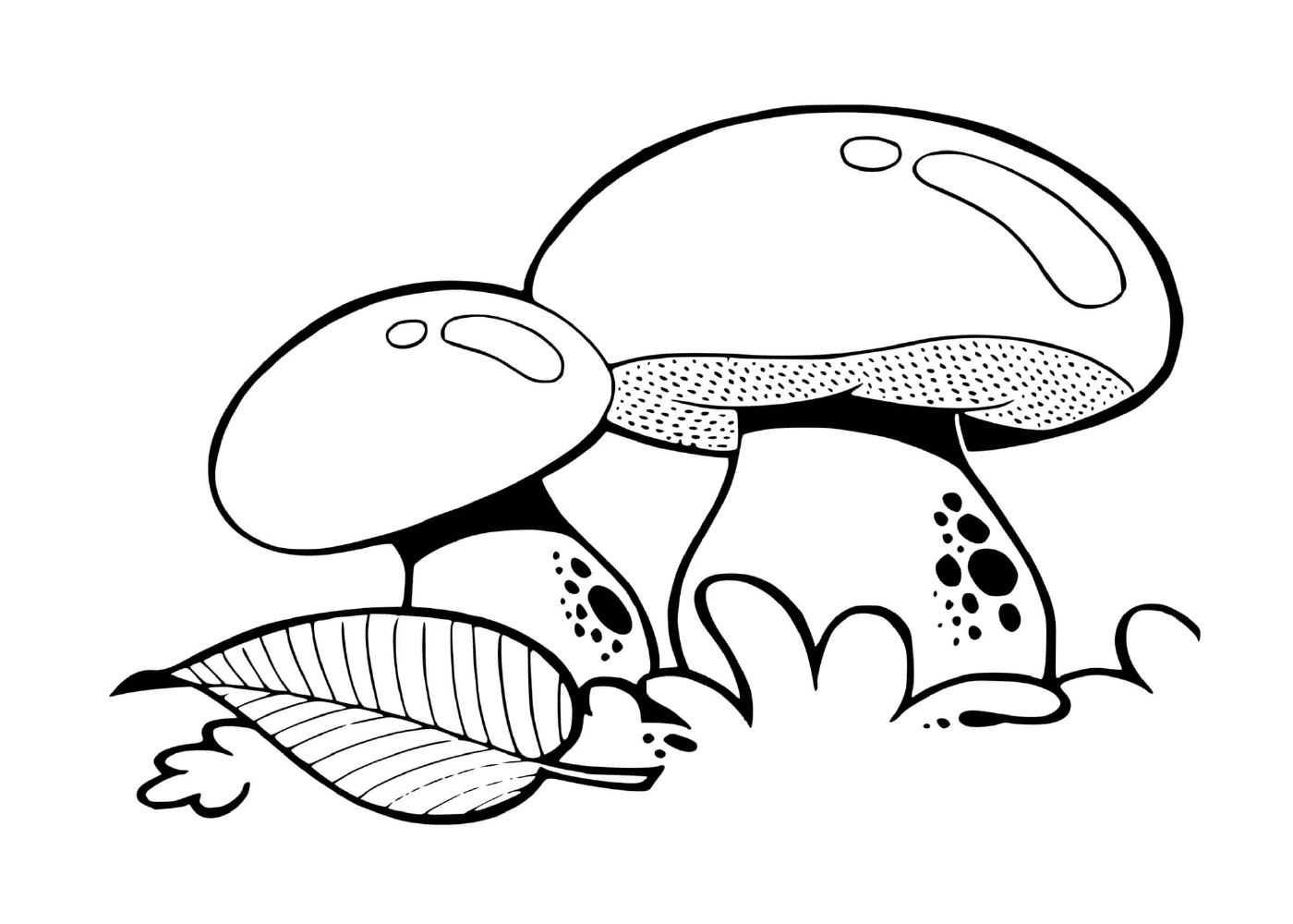  Mushroom amanite bolet satanico con foglie 