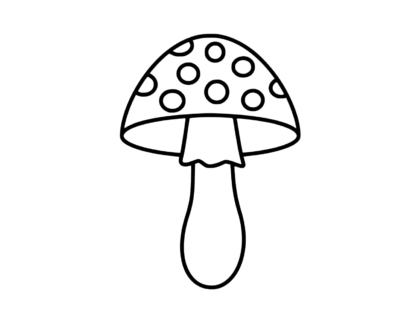  Glutose, fascinating and strange volvary mushrooms 