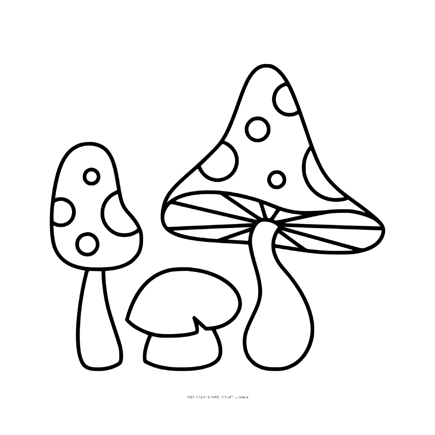 Различные аманитные грибы daffodil и фаллоид 