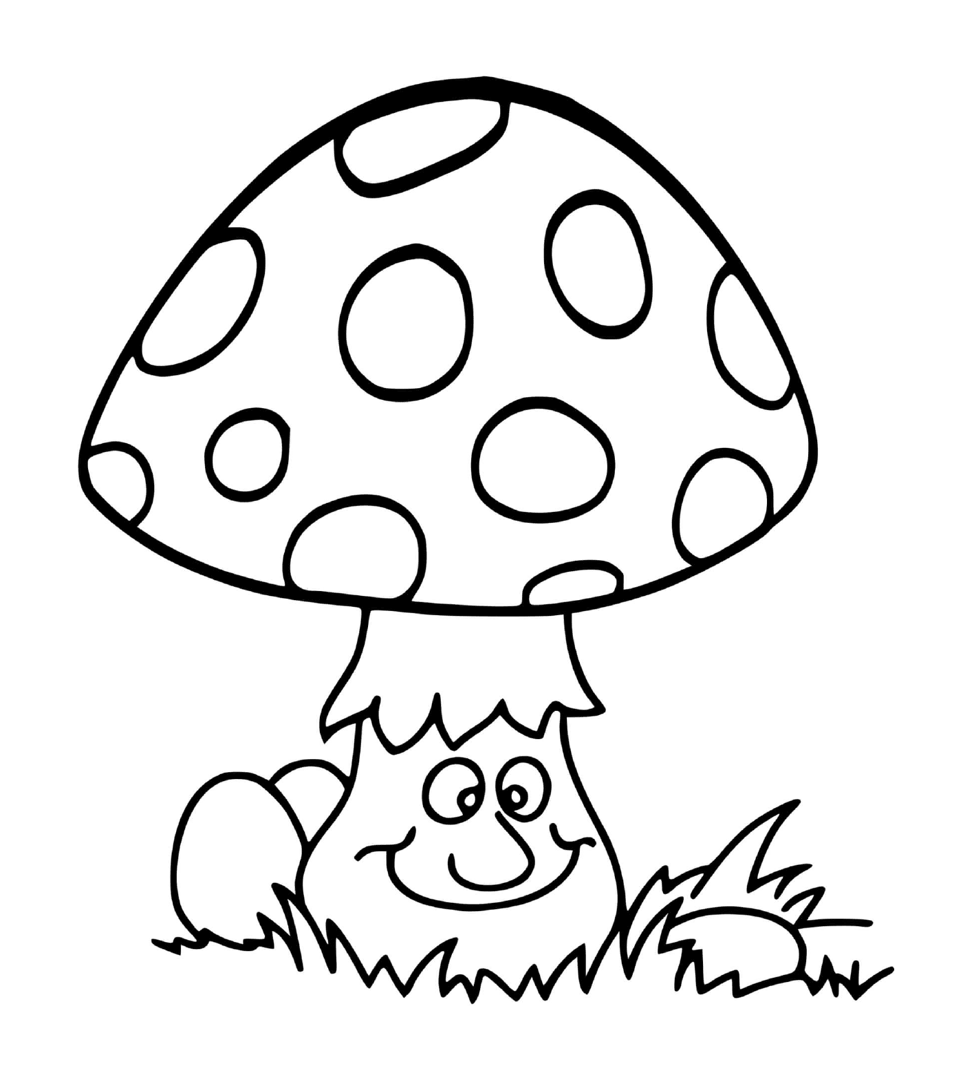  Аманитный гриб в лесу 