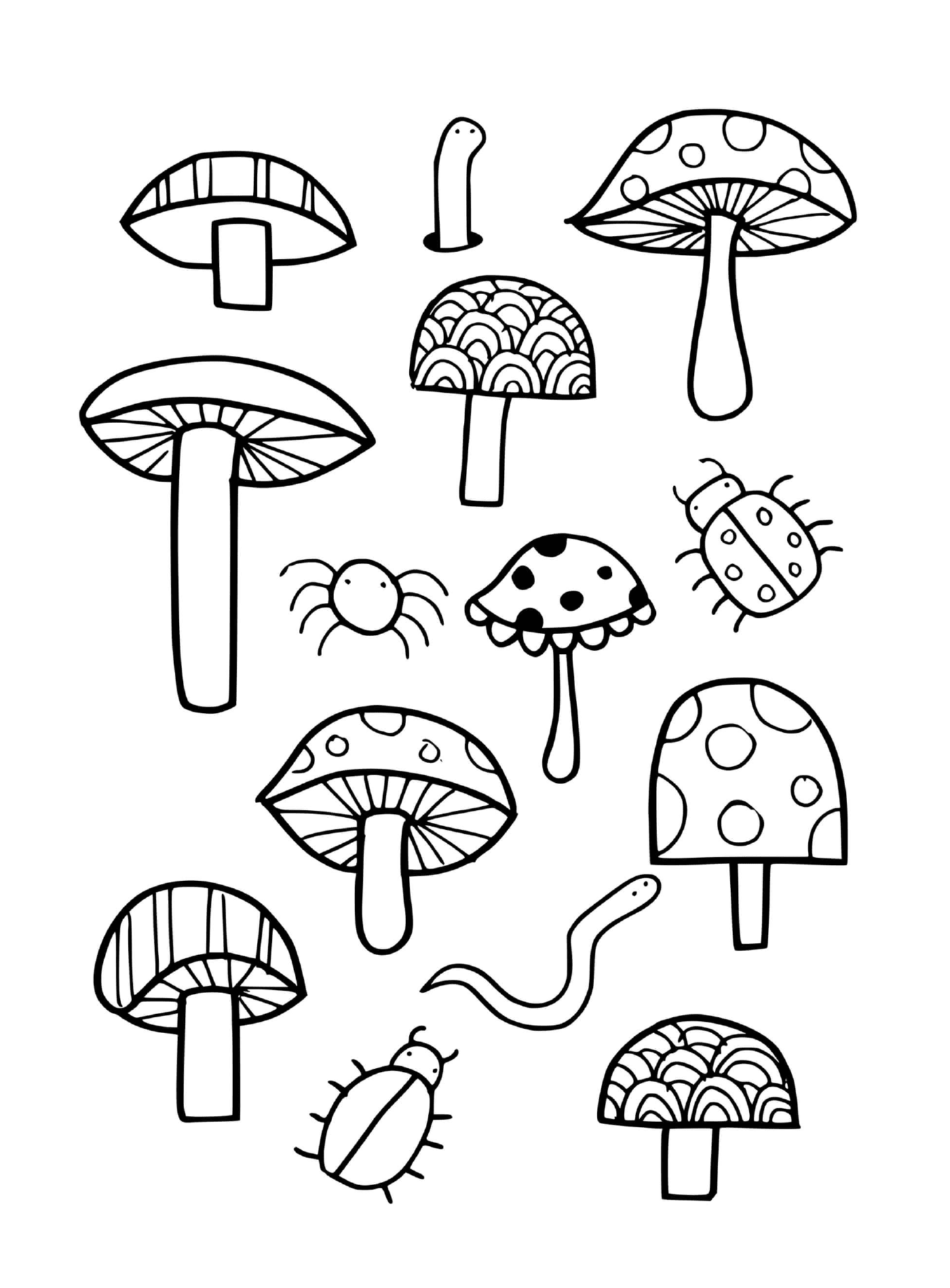  Mushrooms, ladybugs and spiders drawn 